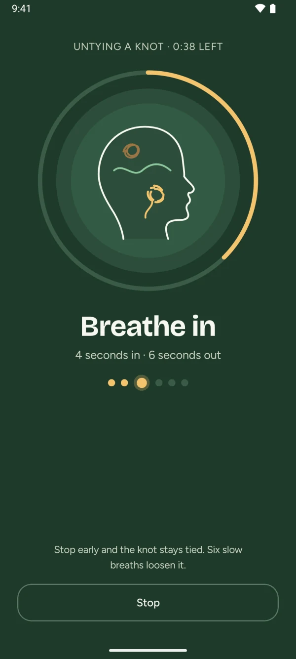 The breathing screen: Breathe in, 4 seconds in and 6 seconds out, with a progress ring around the head as a knot loosens.